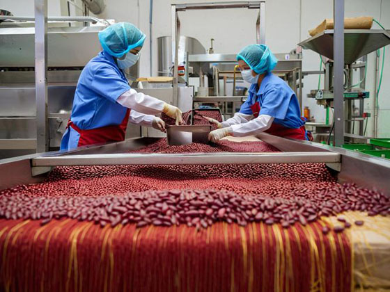 某调味品生产加工企业宣传片拍摄脚本